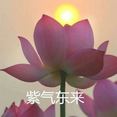 江湖风云录小米内购破解版下载