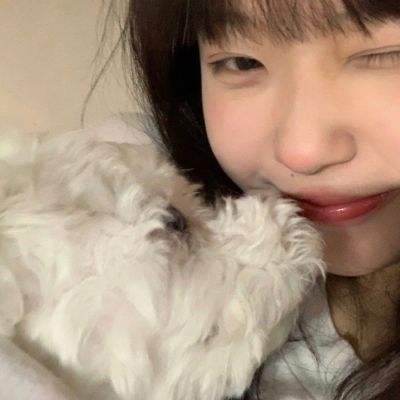 你来嘛英雄手游bt版送vip下载